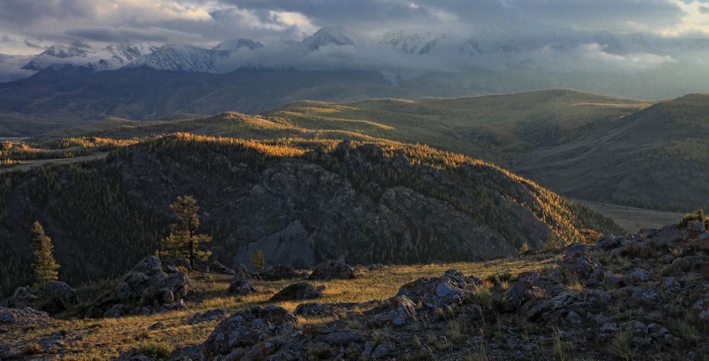 На Курайских холмах