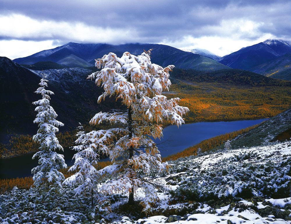 ПЕЙЗАЖИ КОЛЫМЫ
