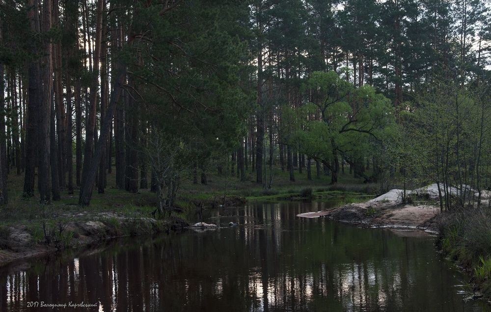 Утро на лесной речушке