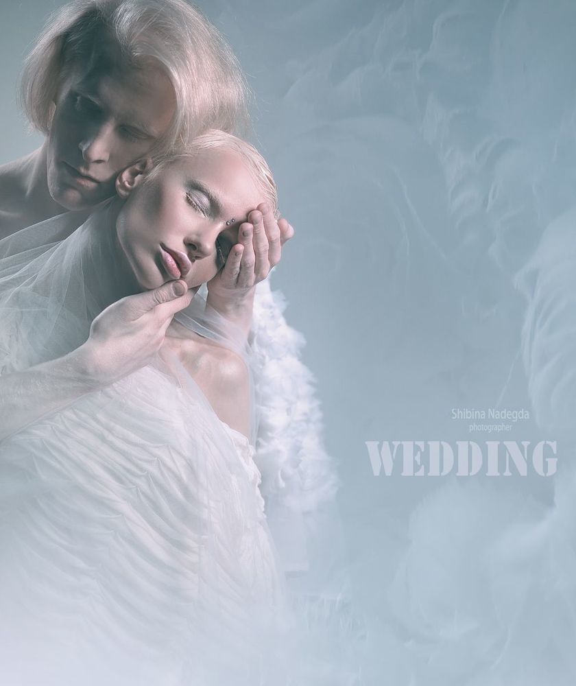 Photo 1232343