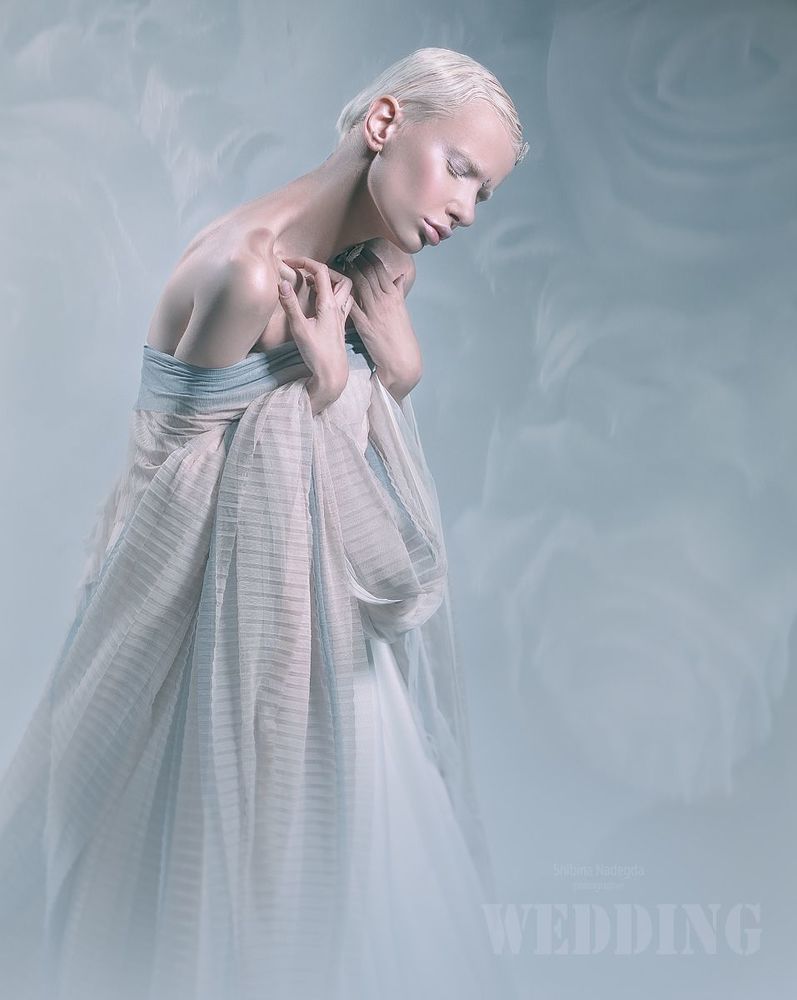 Photo 1232344