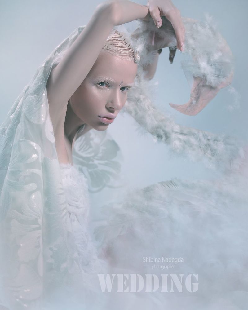 Photo 1232347