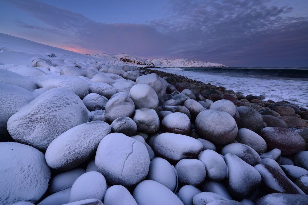 Уже вылупляются ;)