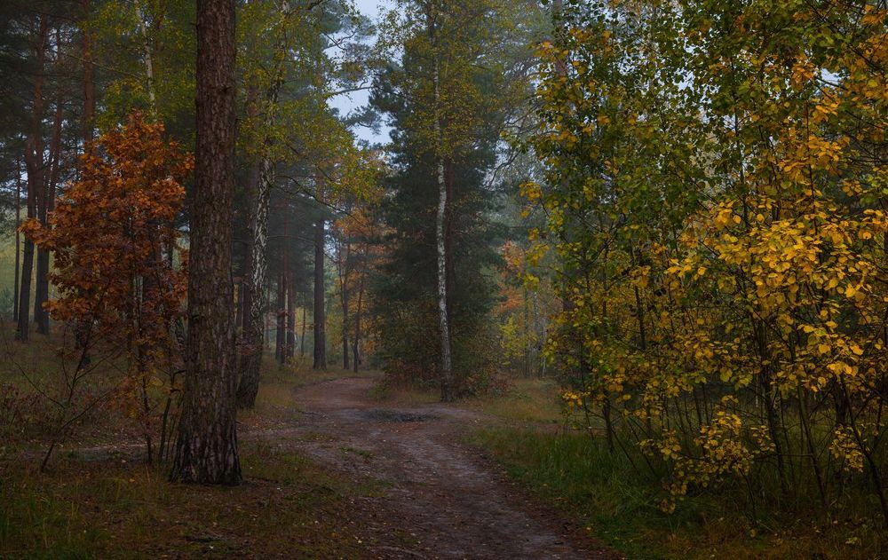 Покуда зной сменяют холода,  на нас лежит усталости печать