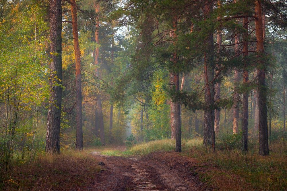 Покуда зной сменяют холода,  на нас лежит усталости печать