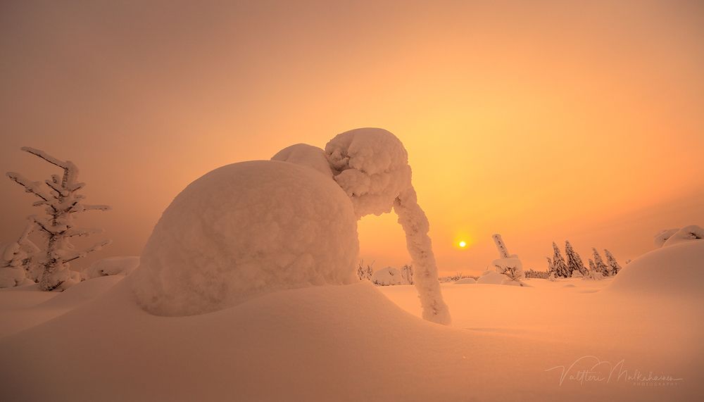 Зимний зоопарк
