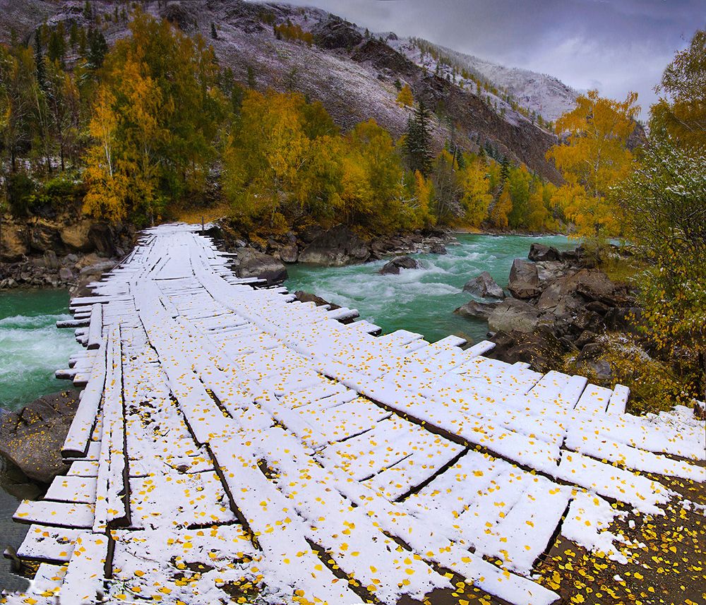 Осень на пороге Бегемот