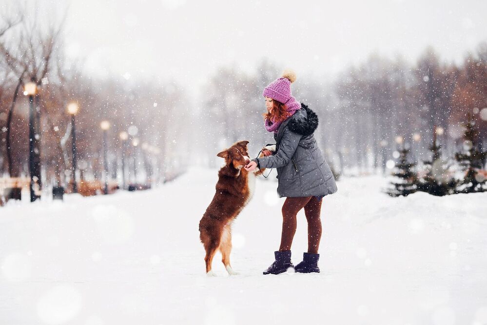 Лиза  и Гамми