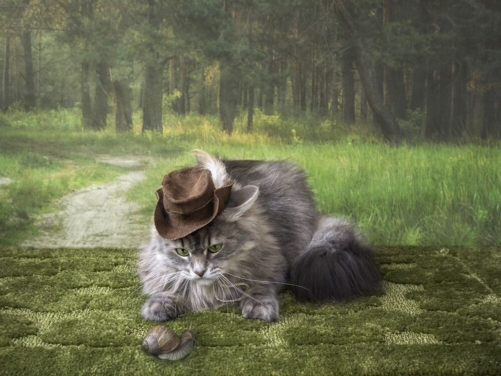 - Ну, только не говори, что ты тоже добыча!