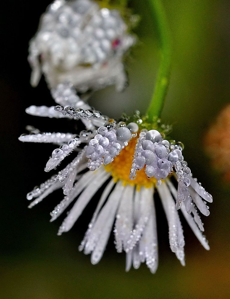 Photo 1235716