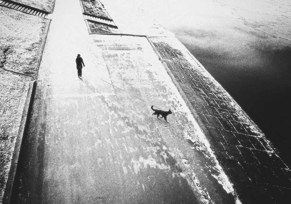 Про собак и людей / Dogs and People