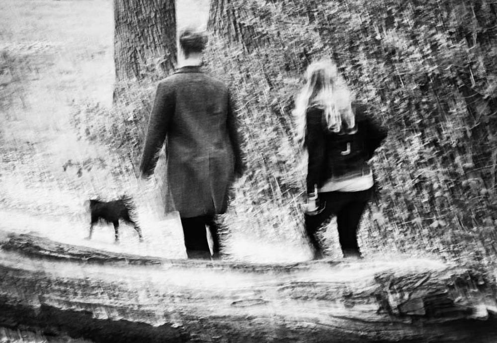 Про собак и людей / Dogs and People