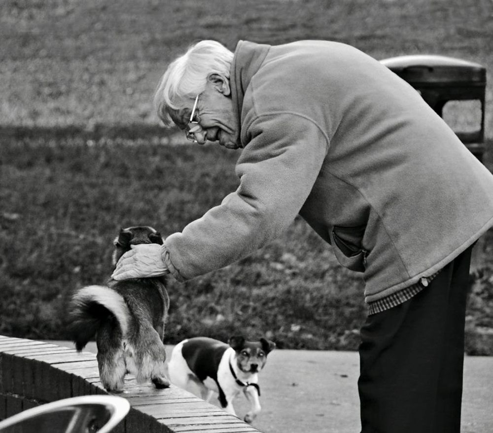Про собак и людей / Dogs and People