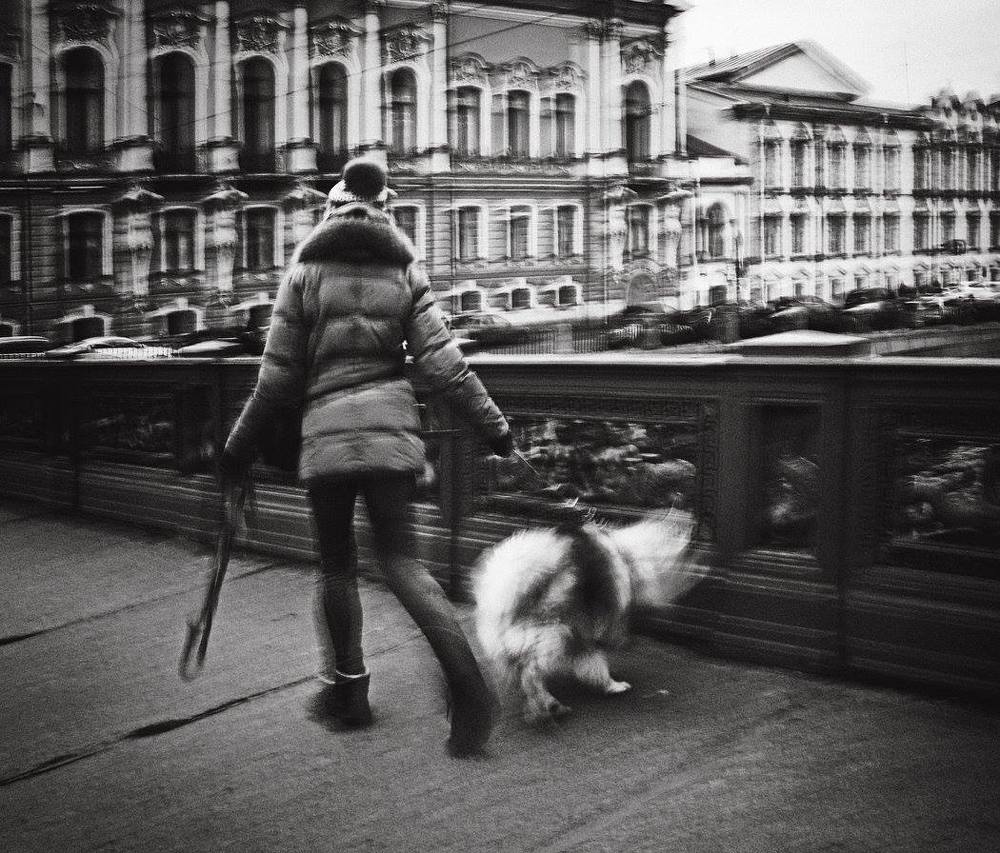 Про собак и людей / Dogs and People