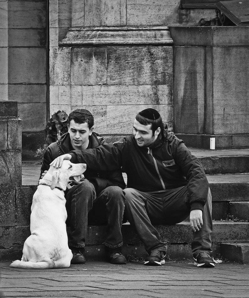 Про собак и людей / Dogs and People