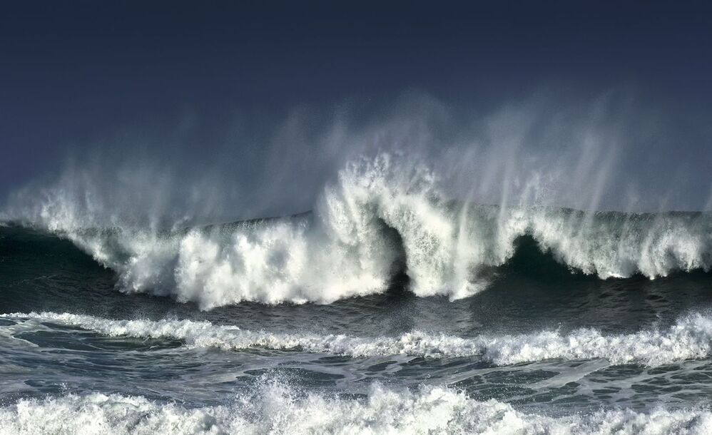 WAVES