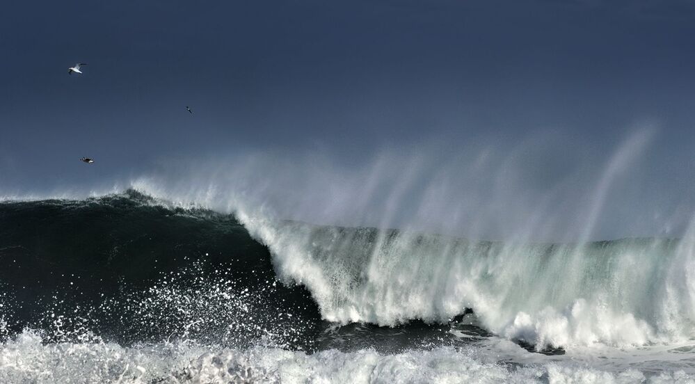 WAVES