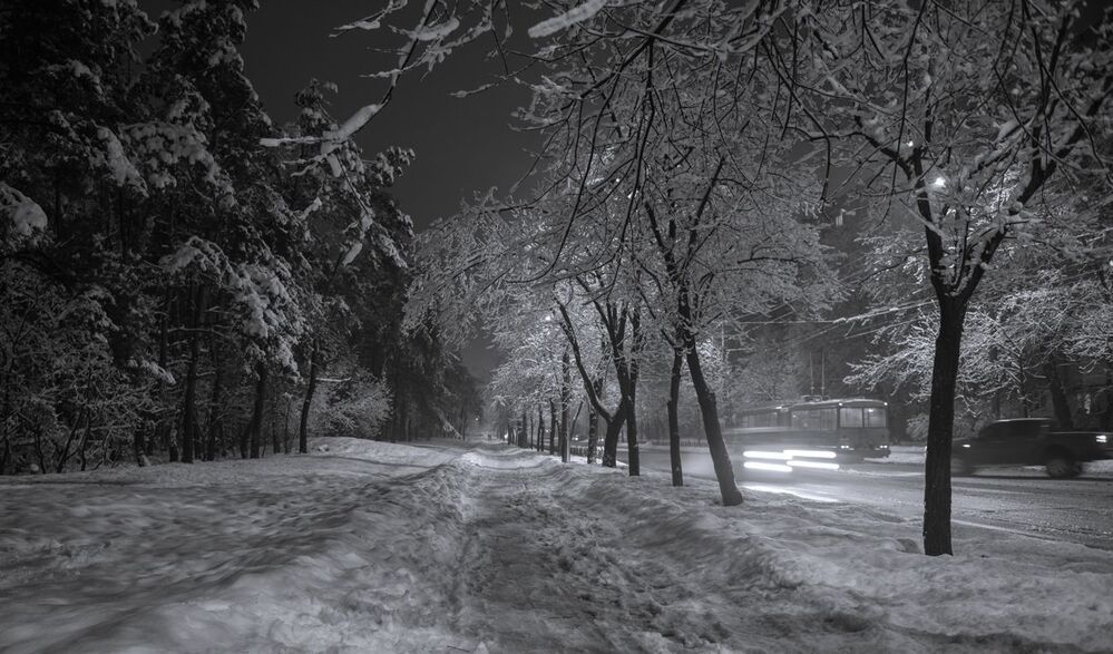 Белое безмолвие. Январь