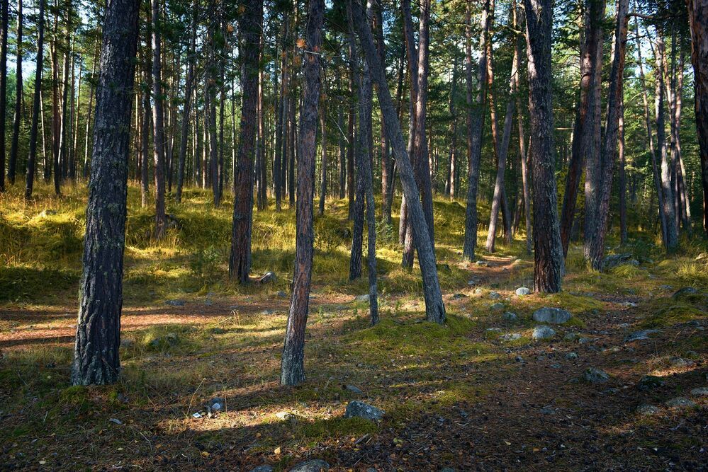 Прогулка по Приэльбрусью, Баксанское ущелье КБР, октябрь.