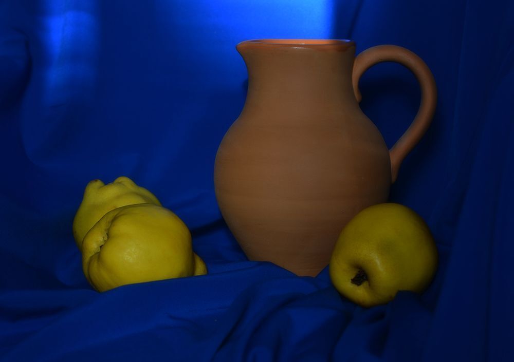 Photo 1239294