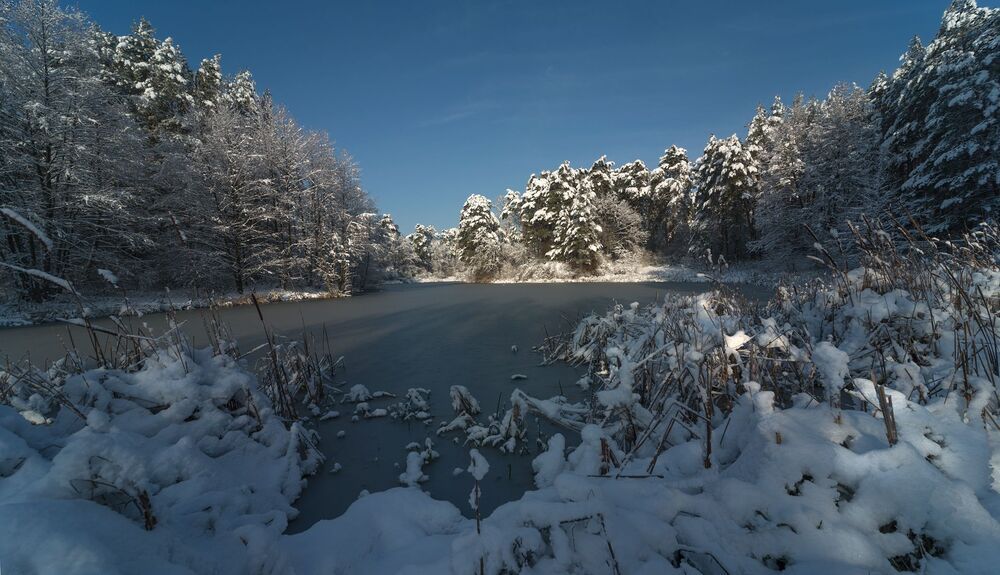морозным днём в Козлине
