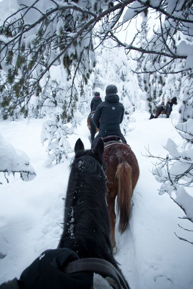 Winter Wonderland