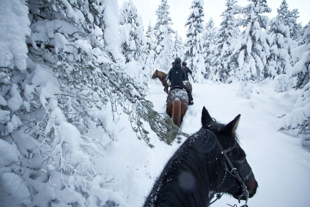 Winter Wonderland