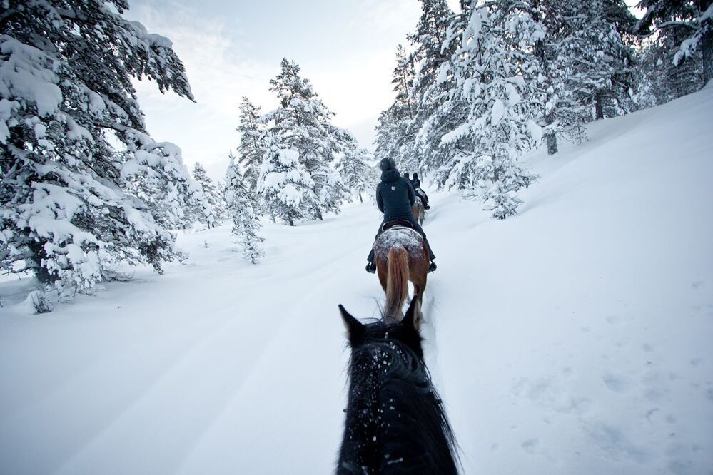 Winter Wonderland