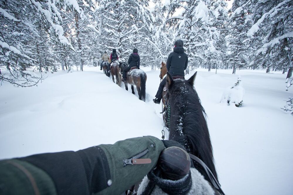 Winter Wonderland
