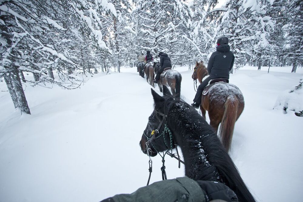 Winter Wonderland
