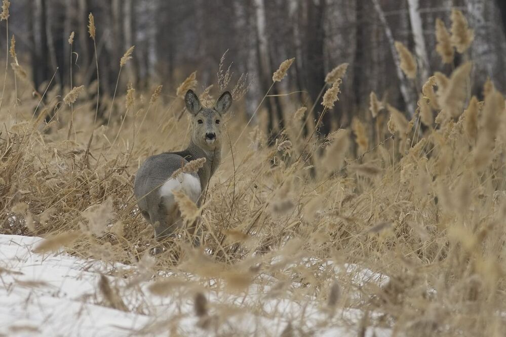 Photo 1247954