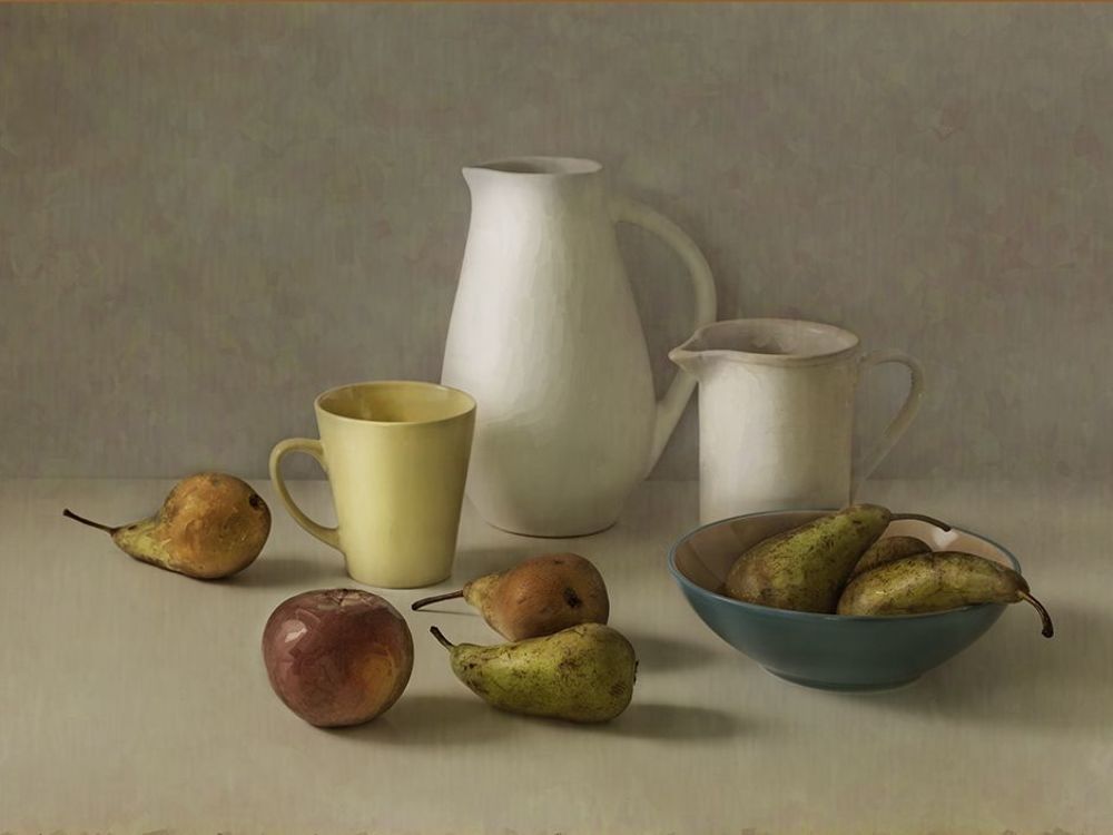 imitation Willem de Bont