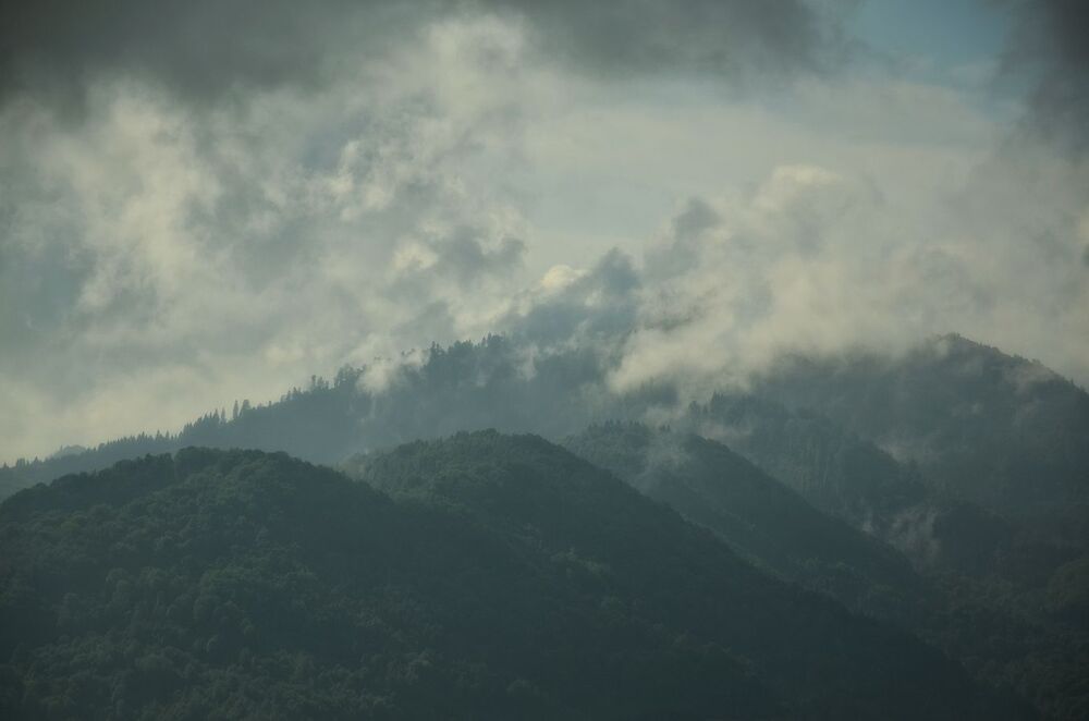 Transylvanian dreams