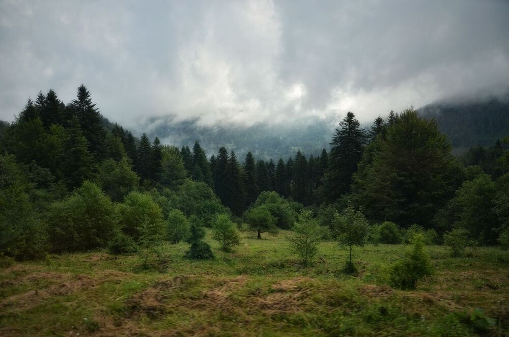 Transylvanian dreams
