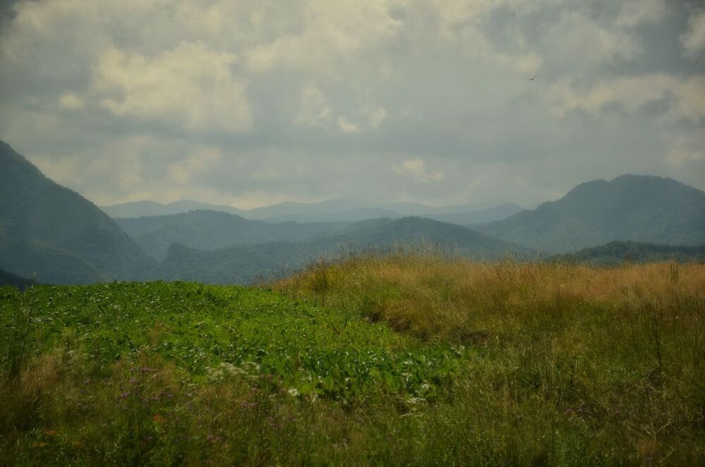 Transylvanian dreams