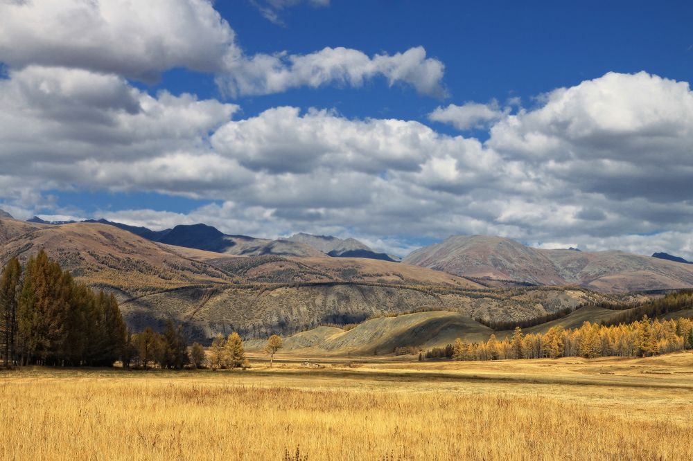 Степь Самаха