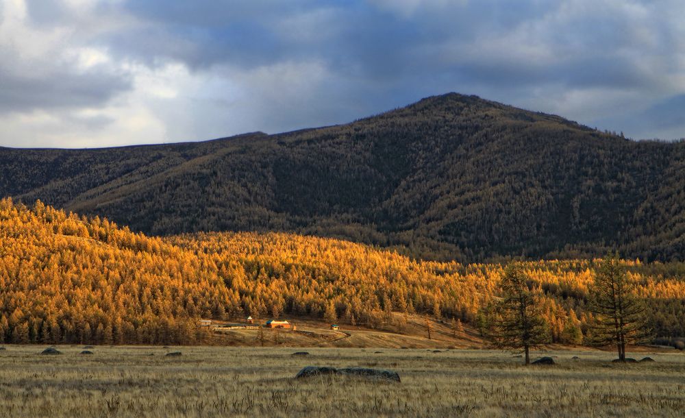 Степь Самаха