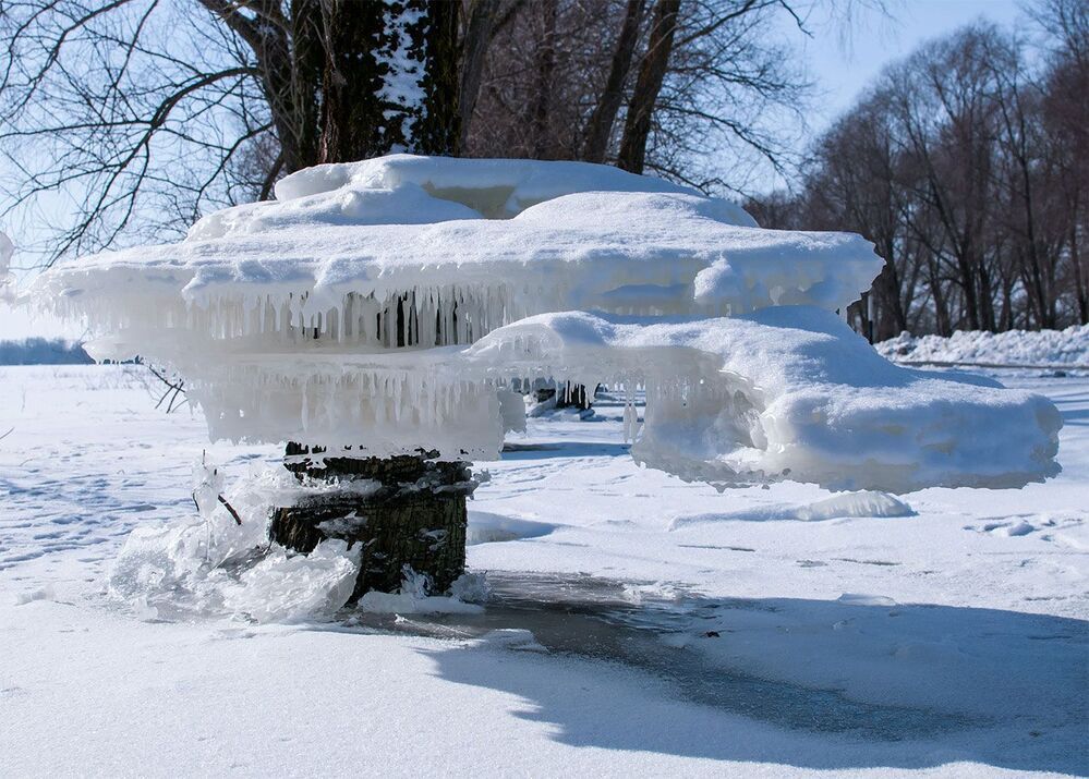 Winter