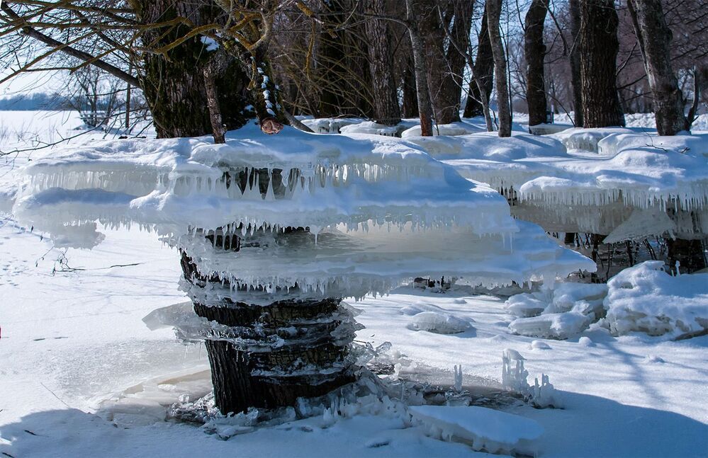 Winter
