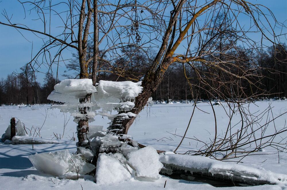 Winter