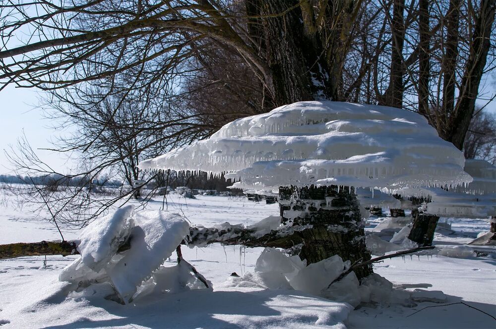 Winter