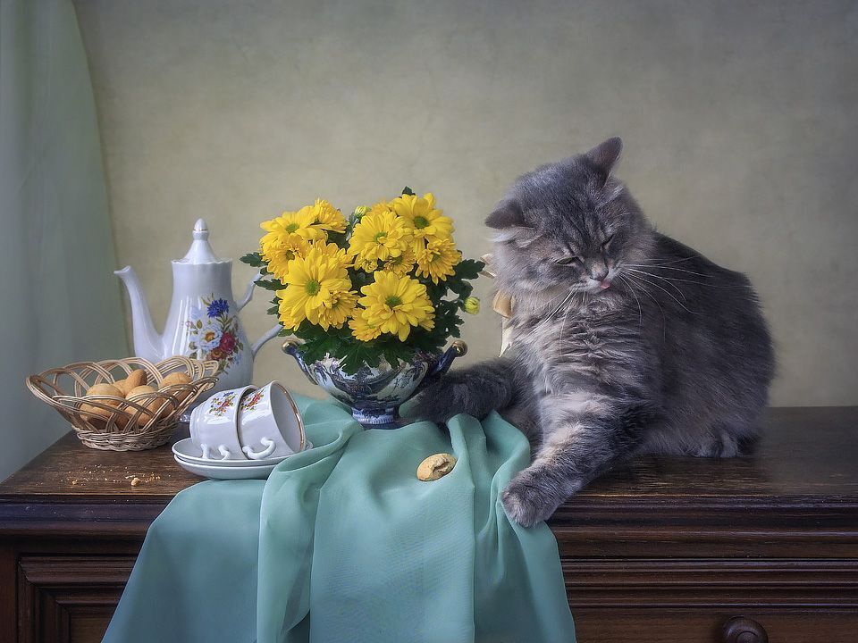 - мне бы лучше кусочек ветчинки!