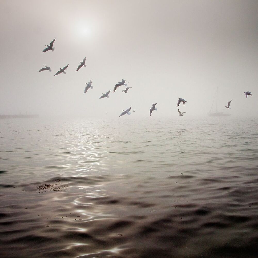 Photo 1250577