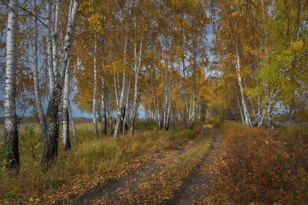 порфолио