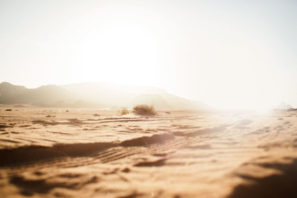 One day in Wadi Rum