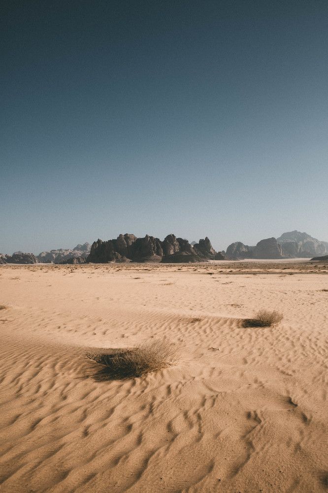One day in Wadi Rum