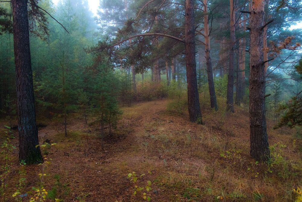 Осенние зарисовки