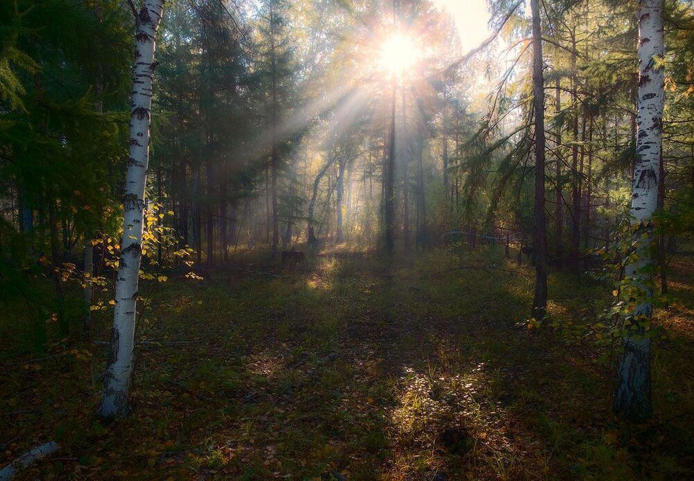 Осенние зарисовки