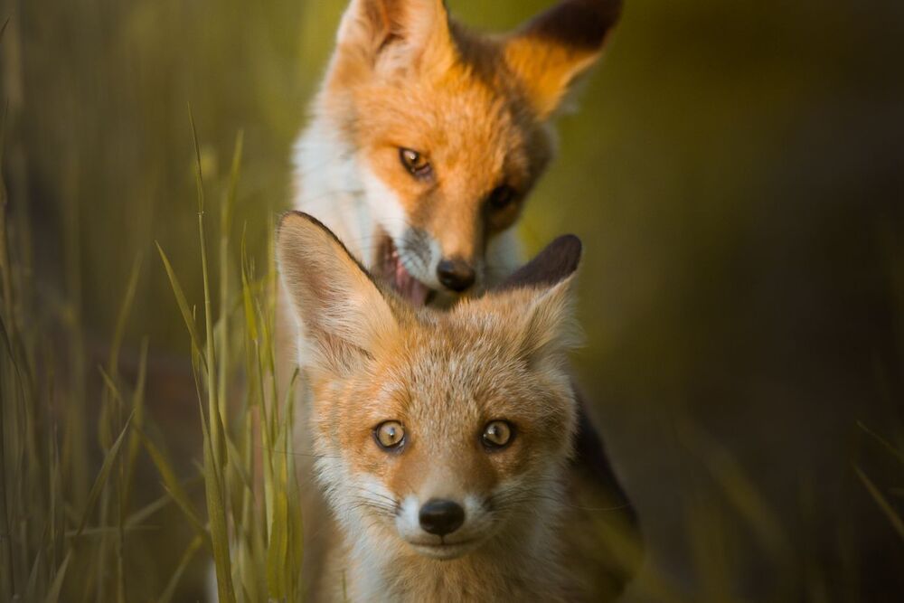 Photo 1252426