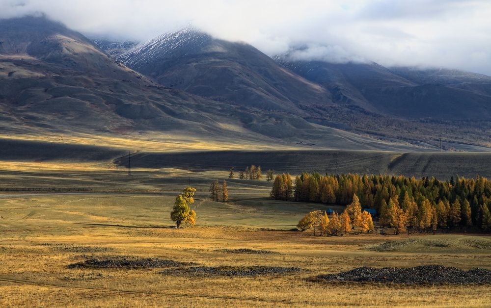 Курайские просторы
